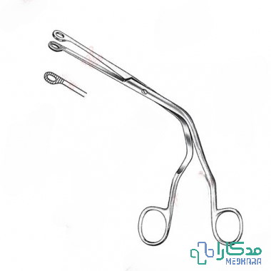 پنس مگیل یونیور