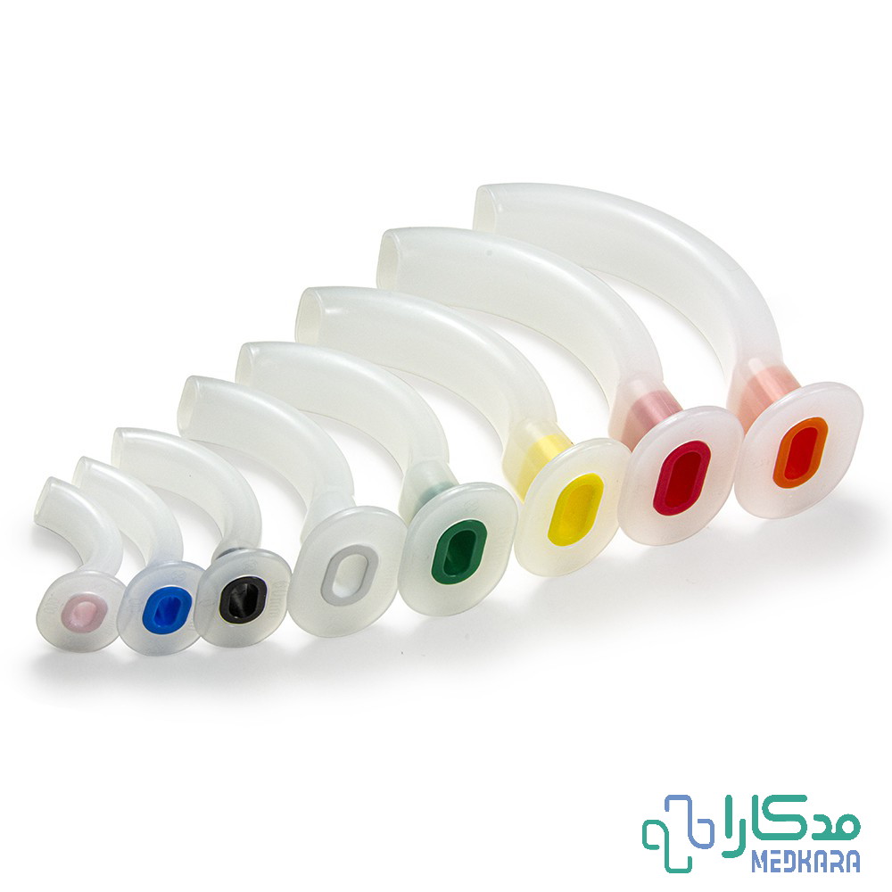 راه هوایی دهانی (ایروی) پیگمد