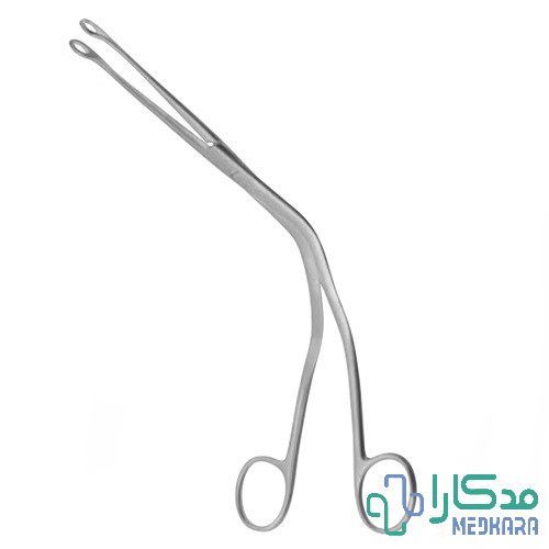 پنس مگیل بزرگسال