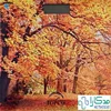 ترازو دیجیتال وزن کشی اوپکس OPEX